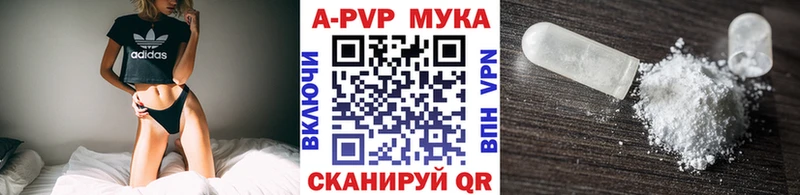 блэк спрут зеркало  Черняховск  А ПВП СК 
