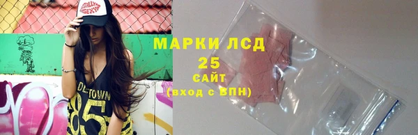соль ск Медногорск
