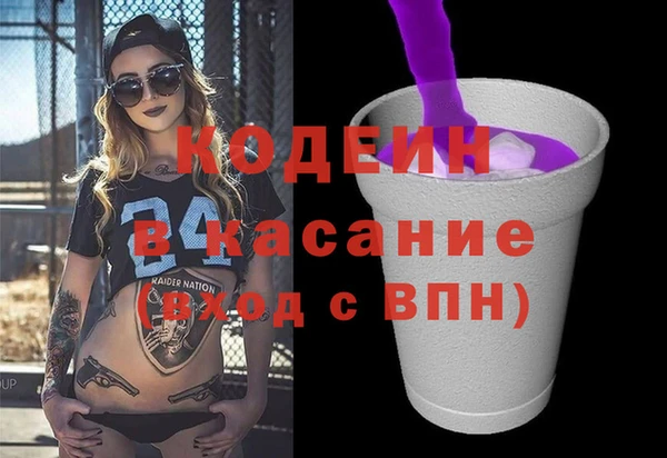 твердый Арсеньев