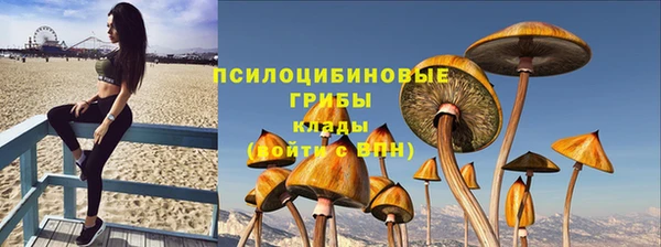 твердый Арсеньев