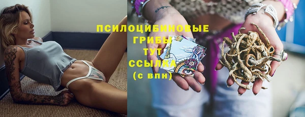 твердый Арсеньев